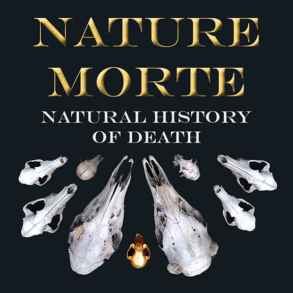 nature Morte